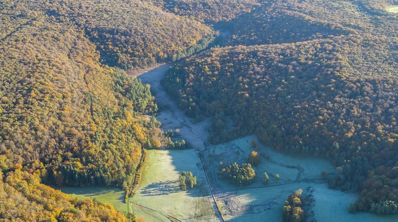 La RNN vue du ciel © Pascal Bourguignon